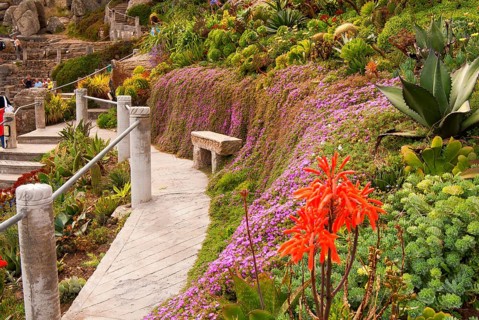 Minack Theatre, spectacular open-air theatre, circular path with lush planting, South England,