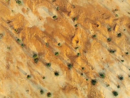 Sandy desert plain with sparse vegetation. Aerial view. Drone shot. Namib Desert, Namibia