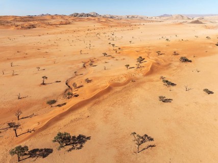 Sand dunes, camelthorn trees (Vachellia erioloba) and isolated mountain ridges in the Tsondab