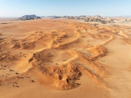 Sand dunes grown with camelthorn trees (Vachellia erioloba) and isolated mountain ridges in the