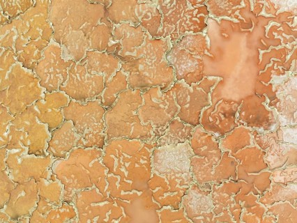 Salt marsh at the Skeleton Coast. Aerial view. Drone shot. Dorob National Park, Namibia