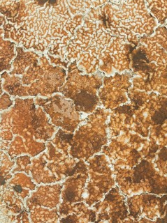Salt marsh at the Skeleton Coast. Aerial view. Drone shot. Dorob National Park, Namibia