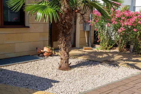 Well-kept front garden with palm tree and ornamental gravel and flowering oleander on the side