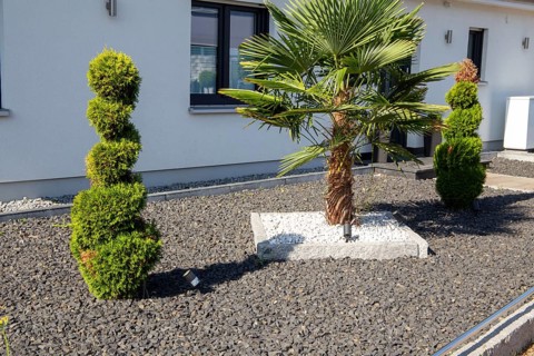 Modern front garden with black basalt chippings and a palm tree framed by white marble gravel