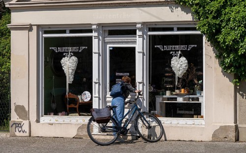 Woman looking through the window pane of a closed flower shop, Potsdam, Brandenburg, Germany
