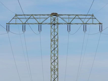 An osprey nest on a power pole, Mecklenburg-Western Pomerania, Müritz region, Germany