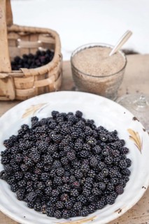 Blackberries, Rubus sect. Rubus, La Lastra del Cano, Sierra de Gredos, Spain