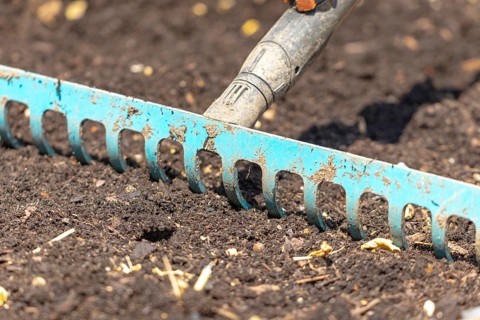 A metal rake works garden soil