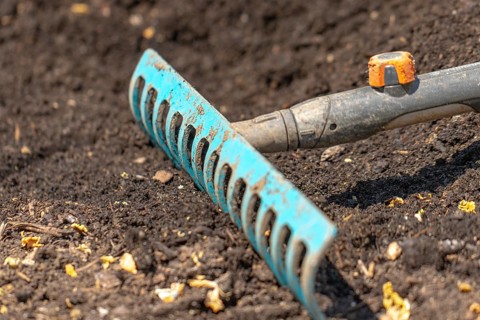 A blue rake lies in dark garden soil