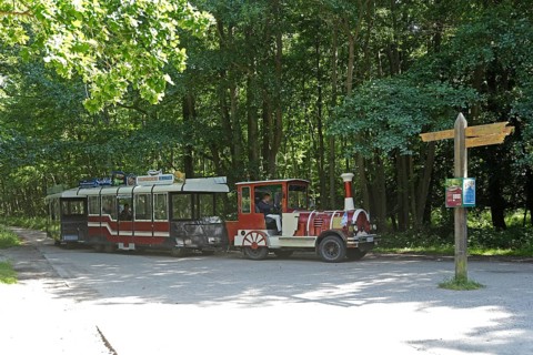 Bimmelbahn, Darßbahn, Darßer Ort stop, Born a. Darß, Vorpommersche Boddenlandschaft National Park,