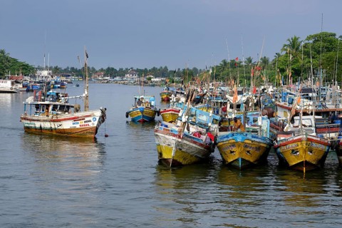 Fishing boats in Negombo river harbor, Sri Lanka