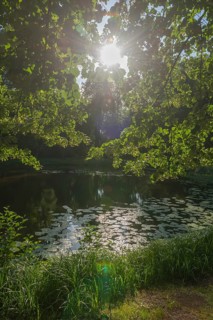 Bürgerpark from 1866, landscape park with rivers and lakes, garden monument, attraction,