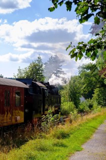 Steam locomotive, Harzquerbahn, near Elend, Harz, Saxony-Anhalt, Germany