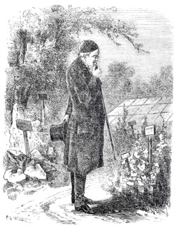 The cane and its use, A scholar's cane, Historical, digitally enhanced reproduction of a 19th