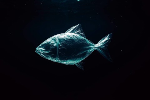 Plastic bag in the shape of a fish, realistically floating in the open ocean, with air bubbles,