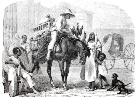 A fruit and poultry merchant in Cuba in 1870, digitally enhanced reproduction from a 19th century