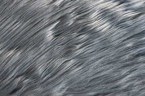 Close up of silky gray synthetic fake fur