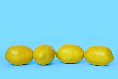 Four lemon fruits on blue background with copy space