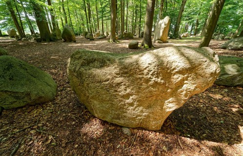 Erratic blocks in the Neuenknick erratic block forest in the Teutoburg Forest. Around 2000 of the