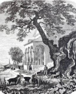 Chapel near Trons, Disentis in the canton of GraubÃ¼nden, 1876, in front of it an ancient maple