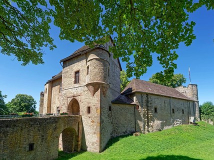 Dringenberg Castle is a medieval hilltop castle in Dringenberg in the district of Höxter. It was