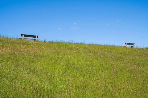 Benches on the dyke, Pellworm Island, North Frisia, North Sea, Schleswig-Holstein, Germany