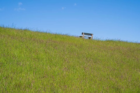 Lonely bench on the dyke, Pellworm Island, North Frisia, North Sea, Schleswig-Holstein, Germany