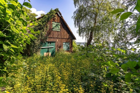 Abandoned hut on the Prinzeninsel in the GroÃŸer Plöner See near Plön, Schleswig-Holstein, Germany