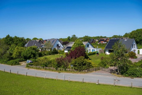 Detached houses in the countryside by the dyke, Tammensiel, Pellworm Island, North Sea, North