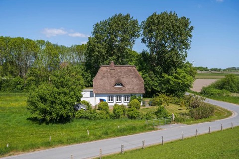 Frisian house with thatched roof, landscape on the dyke, Tammensiel, Pellworm Island, North Sea,