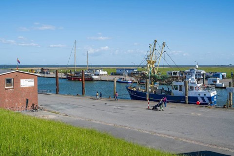 Fishing boats in the harbour, Tammensiel, Pellworm Island, North Frisia, North Sea,