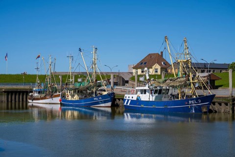 Fishing boats in the harbour of Tammensiel, Pellworm Island, North Frisia, North Sea, North Frisia,
