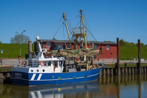 Fishing boat in the harbour of Tammensiel, Pellworm Island, North Frisia, North Sea,
