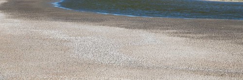Wadden Sea at low tide, parched earth Schleswig-Holstein Wadden Sea National Park, Pellworm Island,