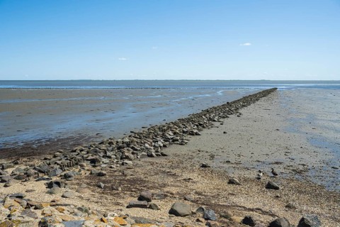 Wadden Sea at low tide, groynes, breakwater, Schleswig-Holstein Wadden Sea National Park, Pellworm
