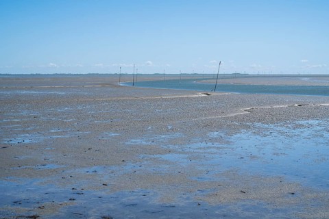 Wadden Sea at low tide, Schleswig-Holstein Wadden Sea National Park, Pellworm Island, North Frisia,