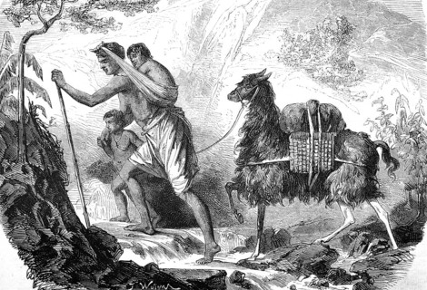 Farmer with children and a llama as a beast of burden, travelling in the mountains, Andes, South