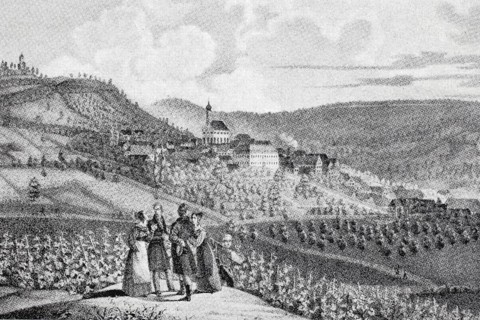 Castell Castle in the Middle Ages, district of Kitzingen, Lower Franconia, Bavaria, Germany,