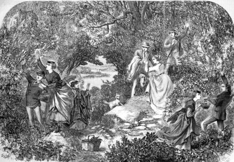 Summer visitors picking nuts, 1869, Historical, Reproduction from a 19th century scene