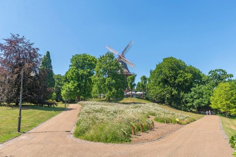 Mill on the rampart or HerdentorsmÃ¼hle, type gallery follower with wind direction tracking,