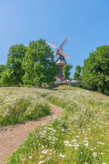 MÃ¼hle am Wall or HerdentorsmÃ¼hle, type gallery mill with wind direction tracking, restaurant and