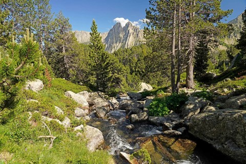 River in the AigÃ¼estortes i Estany de Sant Maurici National Park, Catalonia, Spain