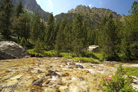 The Riu de Monestero river in the AigÃ¼estortes i Estany de Sant Maurici National Park, Catalonia,
