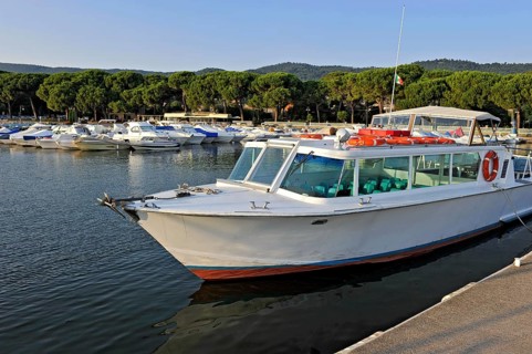 Excursion boat, motorboat and yachts in the marina of Bolsena, Porto Turistico di Bolsena, pine
