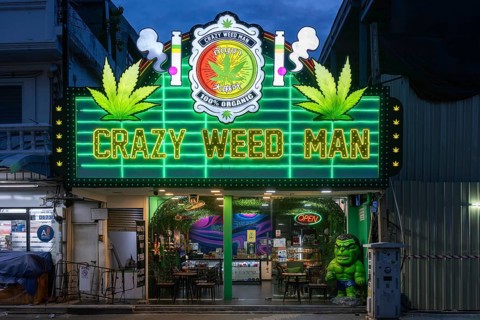 Cannabis Shop, Pattaya, Thailand