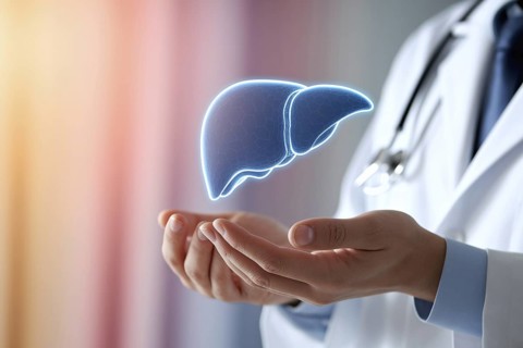 Doctor holding glowing virtual liver in modern clinic, symbolizing advanced liver care and