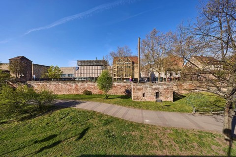 Square, city fortifications, city wall, footpath, trees, lawn, general architecture, Sterntor
