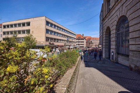 Pedestrian zone, flower bed, common mahonia (Mahonia aquifolium), general architecture, wall,