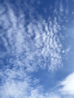 White clouds Cirrocumulus in front of blue sky. international