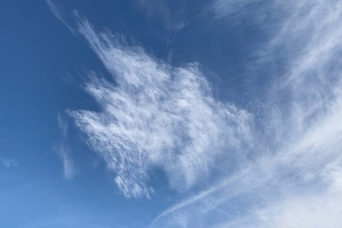 Fibrous veil clouds Cirrus in front of blue sky. international